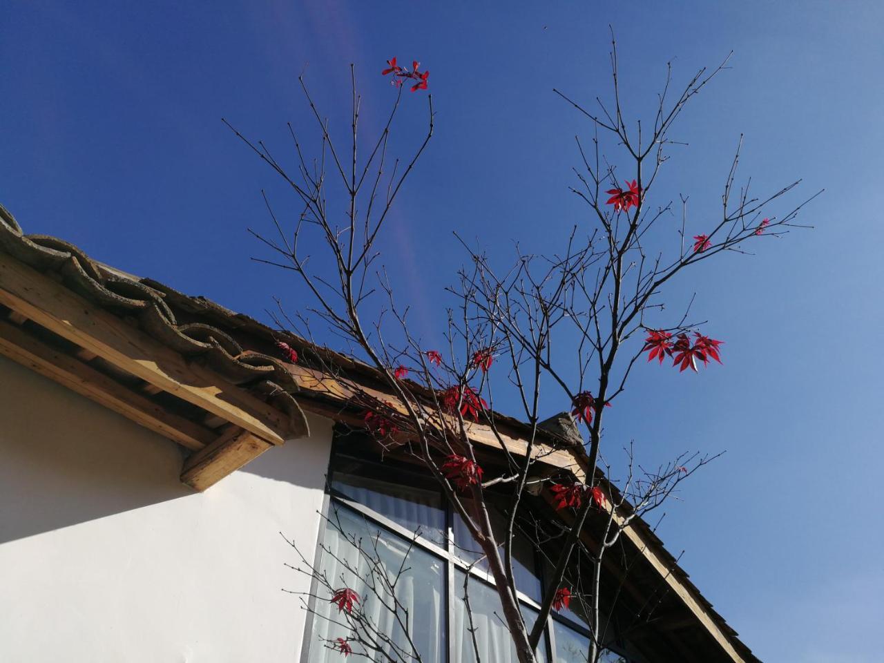 Yan Qi Si He Homestay Kunming Kültér fotó